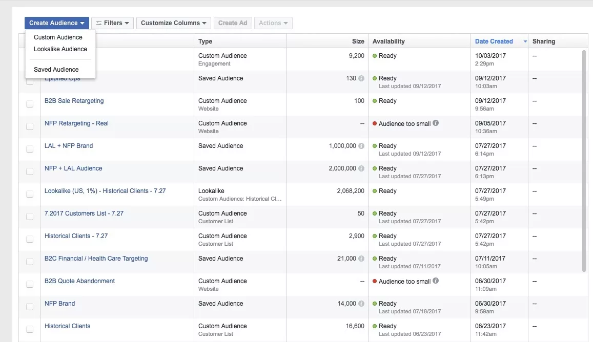 Facebook Custom Audience